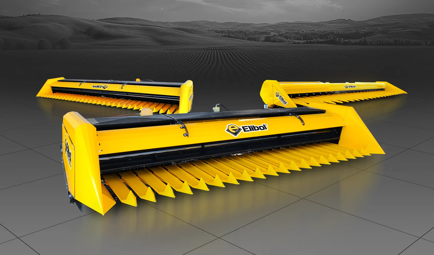 Ayçiçek Hasat Tablası