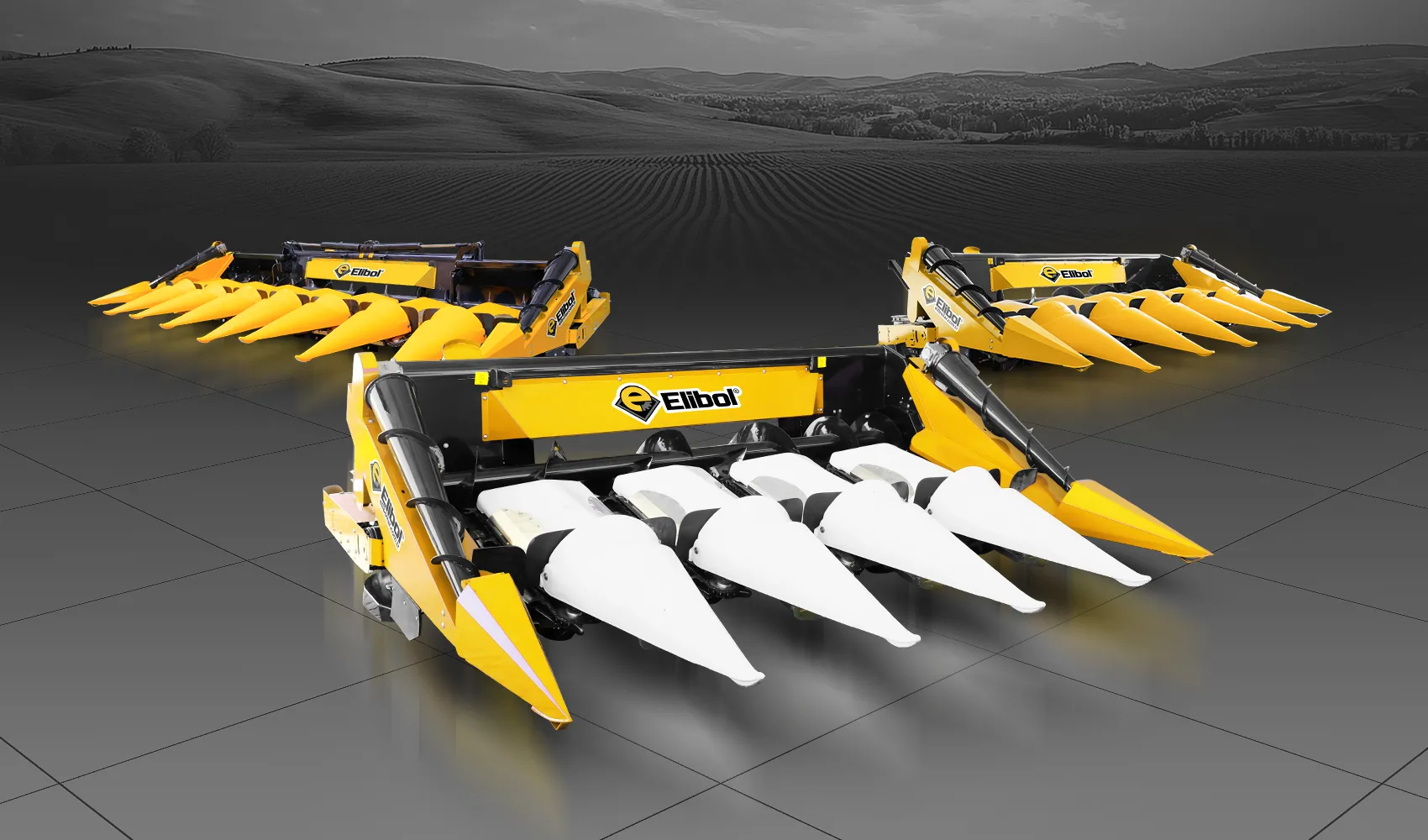 Mısır Hasat Tablası